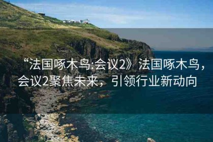 “法國(guó)啄木鳥(niǎo):會(huì)議2》法國(guó)啄木鳥(niǎo)，會(huì)議2聚焦未來(lái)，引領(lǐng)行業(yè)新動(dòng)向
